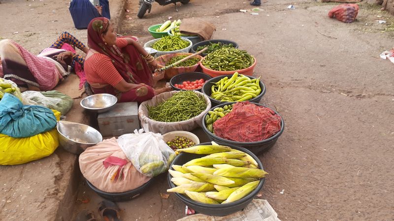 Udaipur Private Tour - Lady selling vegetables 