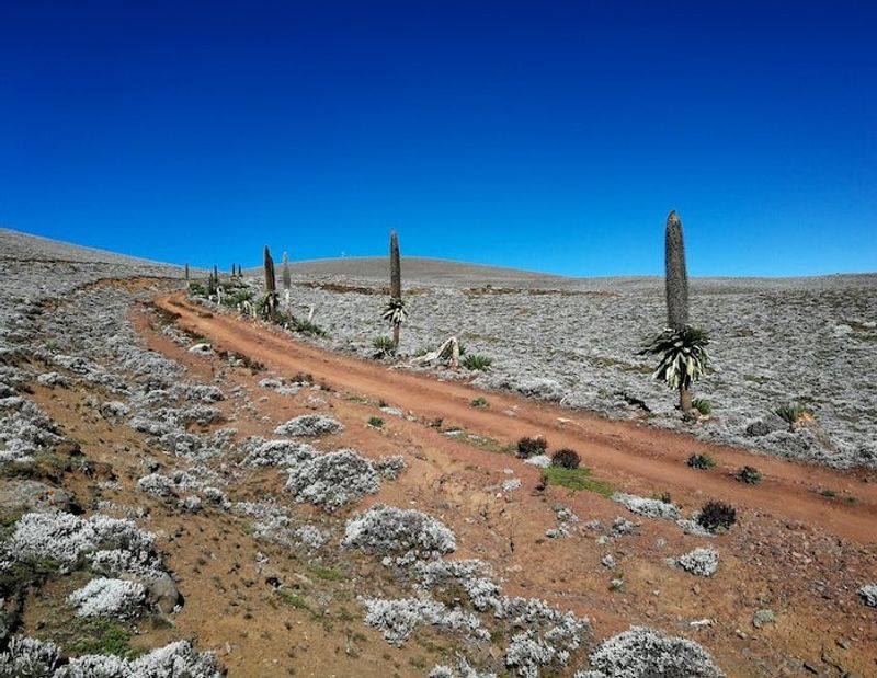 Addis Ababa Private Tour - Gravel road heading to Tulu Dimtu peak