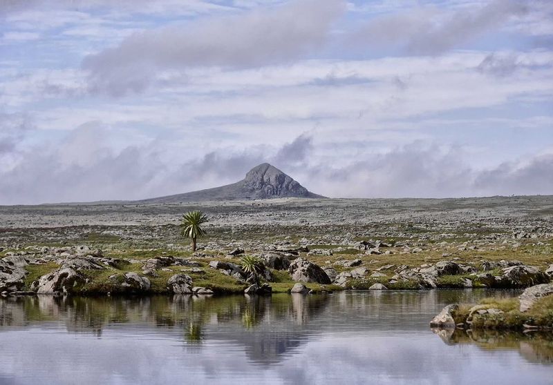 Addis Ababa Private Tour - Tulu Dimtu peak in Bale NP 4377masl, at a distance.