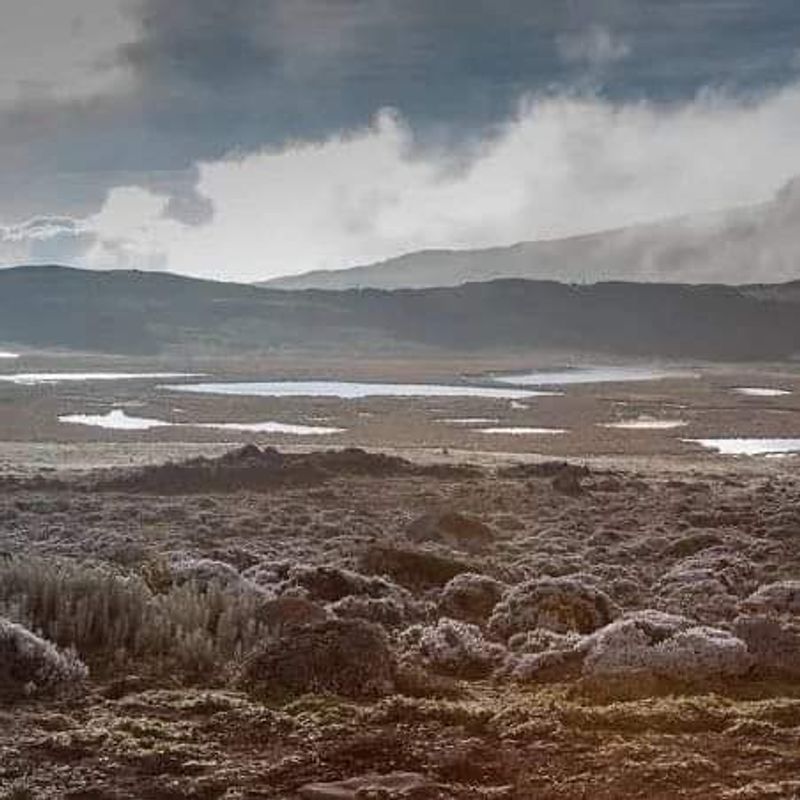 Addis Ababa Private Tour - The small lakes at the Sanate plateau.