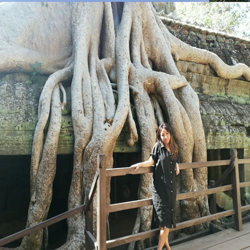 Siem Reap Private Tour - Ta Prohm temple