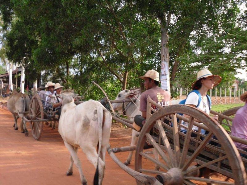 Siem Reap Private Tour - ox cart riding