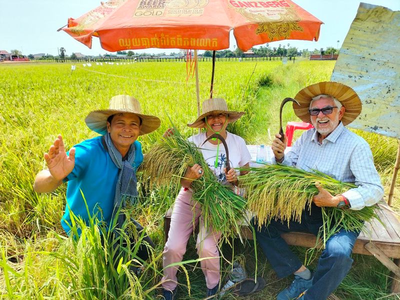 Siem Reap Private Tour - experience rice harvesting