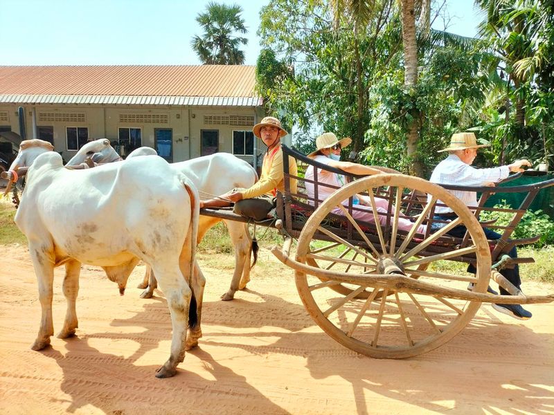 Siem Reap Private Tour - ox cart riding