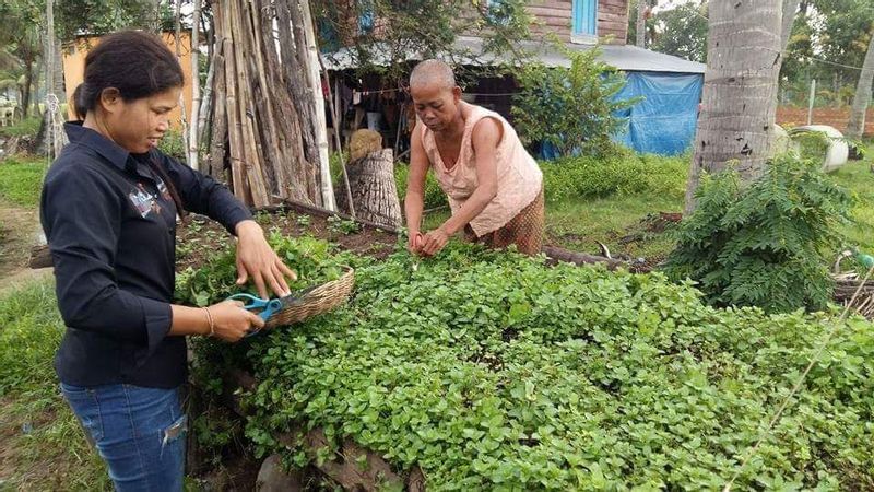 Siem Reap Private Tour - villager daily lives