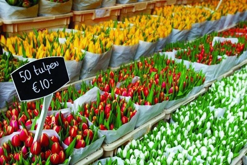 Amsterdam Private Tour - Flower Market scene