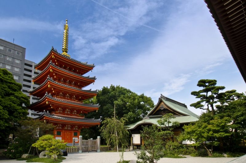 Fukuoka Private Tour - Tocho-ji temple