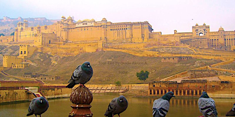 Delhi Private Tour - null