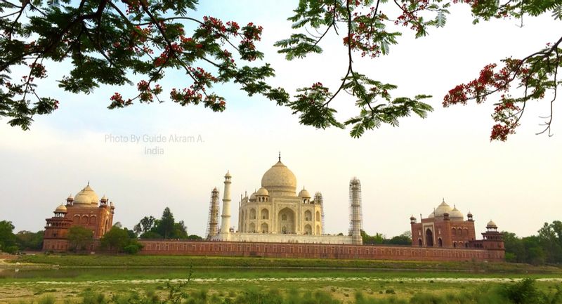 Delhi Private Tour - Taj Mahal view  from Mahtab Bagh