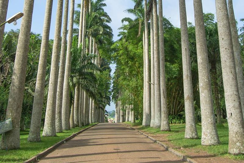 Accra Private Tour - Aburi Botanical Gardens