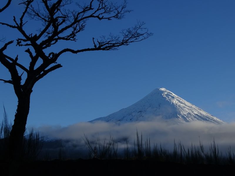 Puerto Varas Private Tour - Osorno Volcano