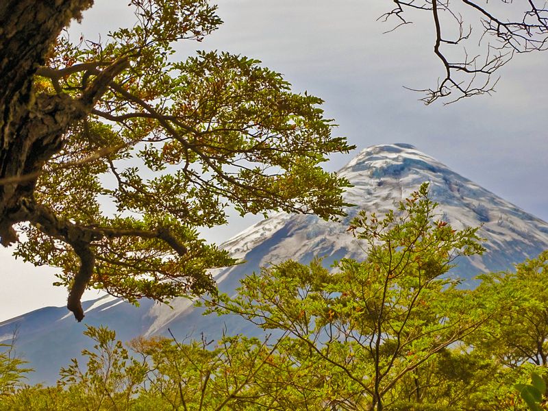 Puerto Varas Private Tour - Osorno Volcano