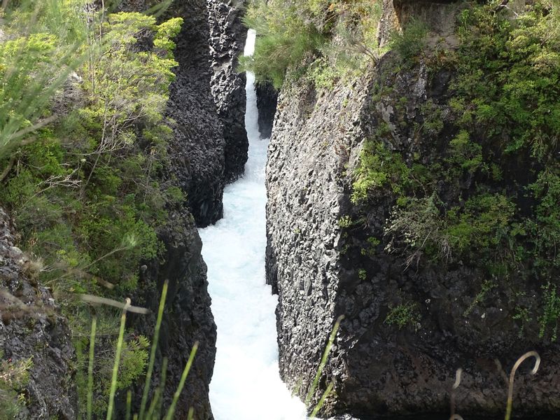 Puerto Varas Private Tour - Petrohue waterfalls