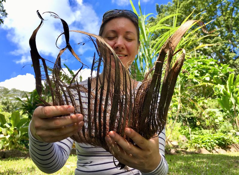 Hawaii (Oahu) Private Tour - Come back to your senses in the forest.