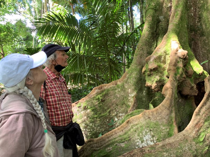 Hawaii (Oahu) Private Tour - Connecting with nature.