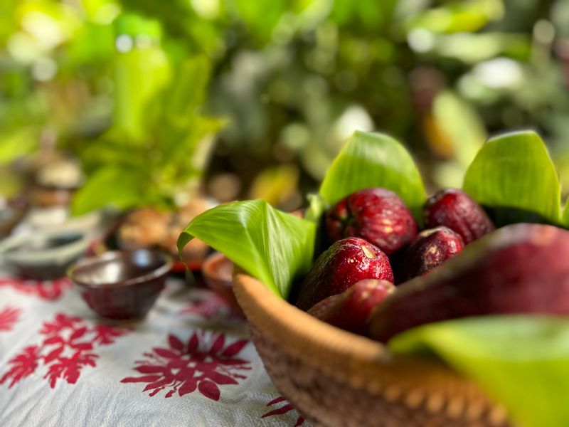 Hawaii (Oahu) Private Tour - Final invitation: a tea ceremony with a forest tea and fruits of the land.