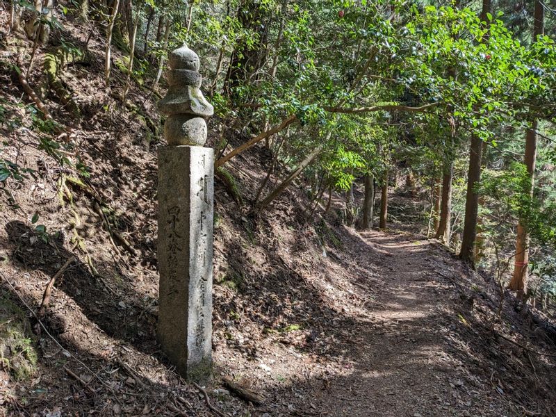 Osaka Private Tour - One of stupas out of 180