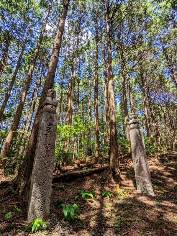 Osaka Private Tour - The stupas are found approximately every 110m