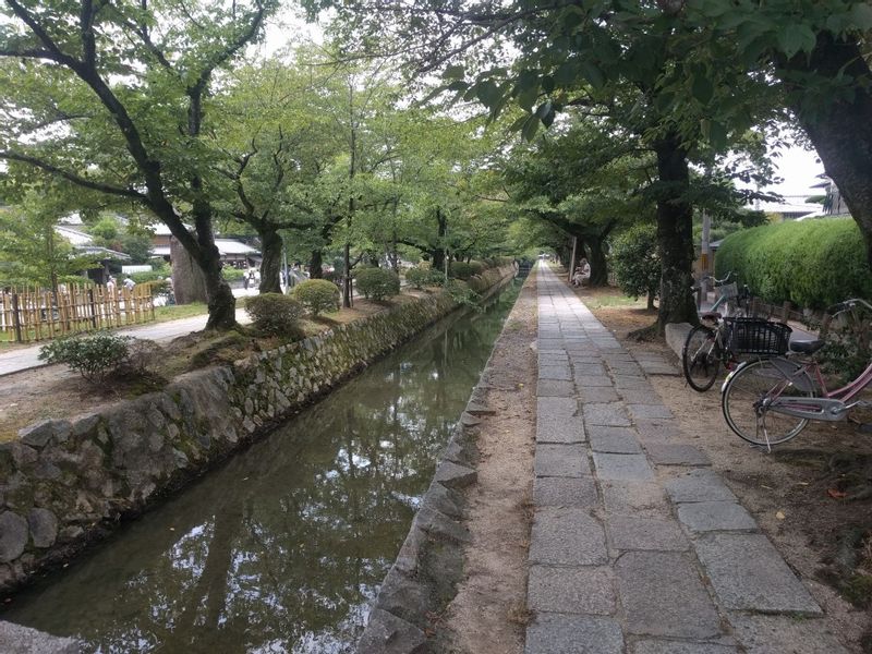 Kyoto Private Tour - A small creek near Silver temple where we start to trek