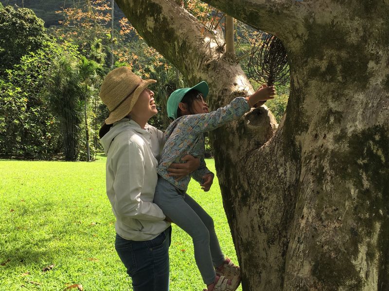 Hawaii (Oahu) Private Tour - Giving back to the forest.