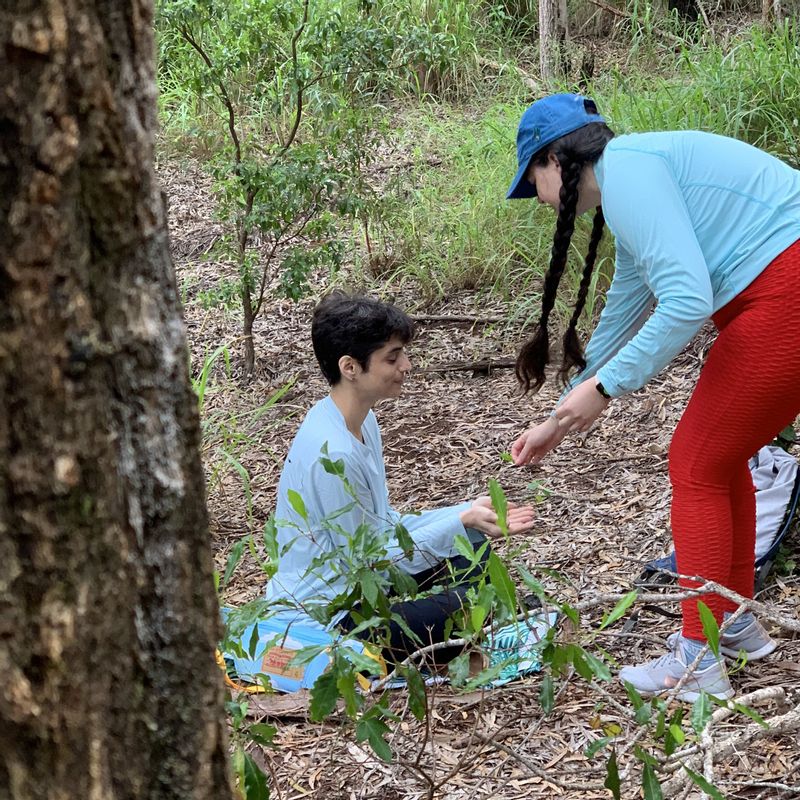 Hawaii (Oahu) Private Tour - Forest bathing invites acts of reciprocity and feelings of gratitude.