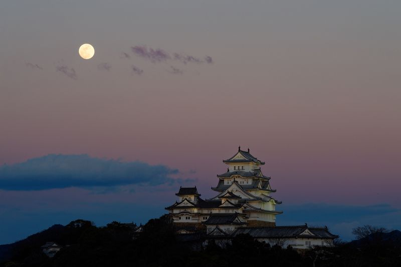 Osaka Private Tour - Himeji castle with full moon.