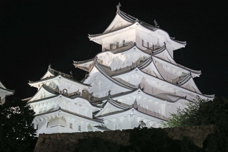 Osaka Private Tour - Illuminated Himeji Castle