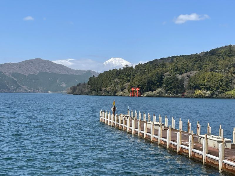 Hakone Private Tour - null