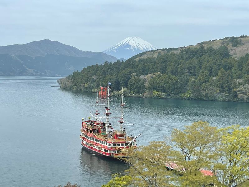 Hakone Private Tour - null