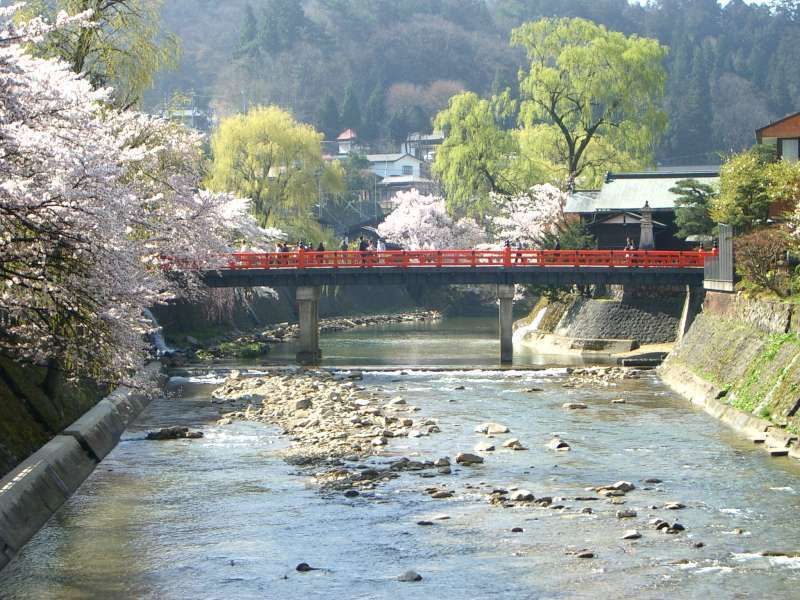 Gifu Private Tour - The Miyagawa, which runs through the center of Takayama, shows a variety of seasonal landscapes as a symbol of this town.. 