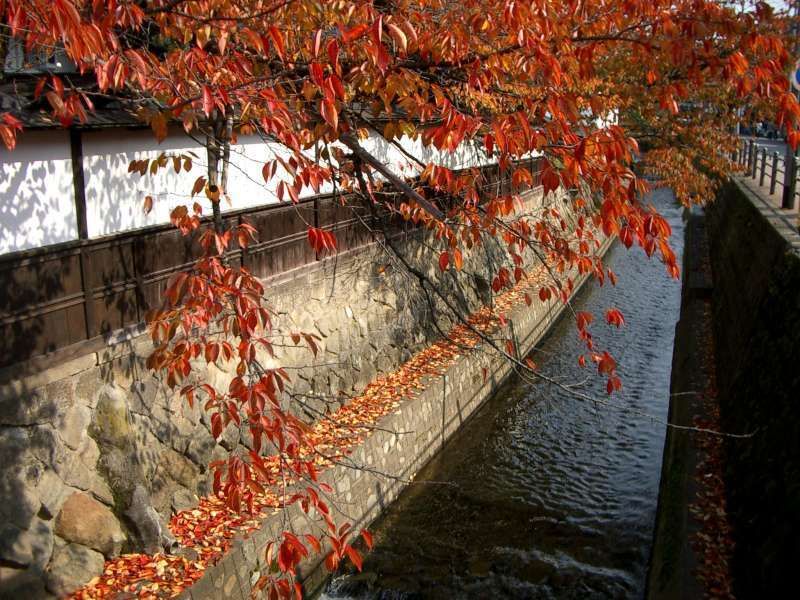 Gifu Private Tour - Enakogawa River leads tourists to the HIgasiyama Temple Area.