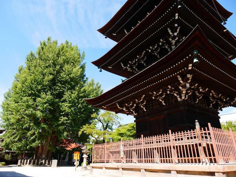 Gifu Private Tour - Hidakokubunji is a peaceful spot near the station. A three-storied pagoda and a giant gingko (maidenhair tree) are  popular.