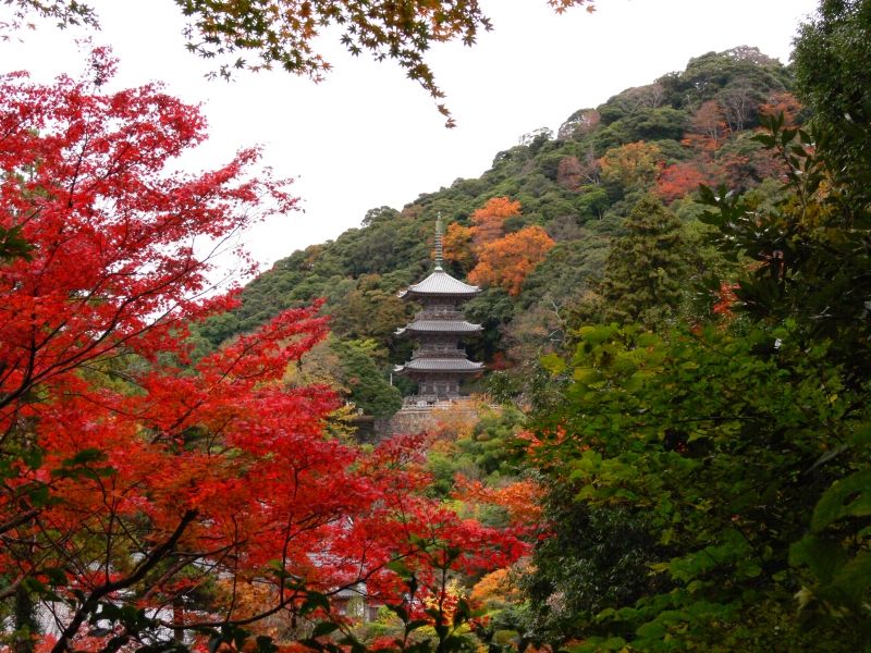 Shimane Private Tour - Kiyomizudera Temple 