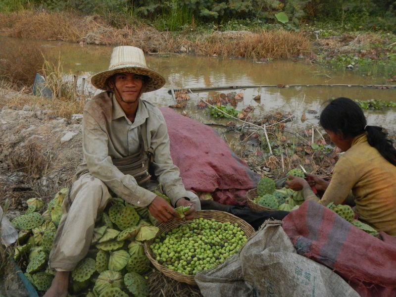 Siem Reap Private Tour - Siem Reap Countryside Tour 