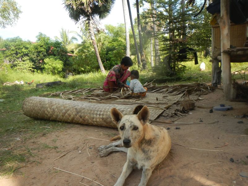 Siem Reap Private Tour - Siem Reap Countryside Tour 