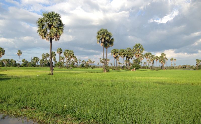 Siem Reap Private Tour - Siem Reap Countryside Tour 