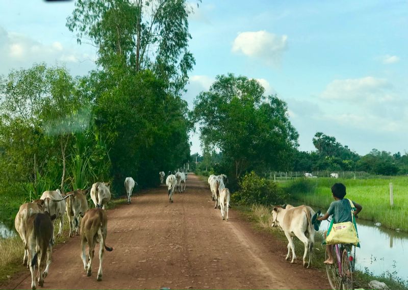 Siem Reap Private Tour - Siem Reap Countryside Tour 