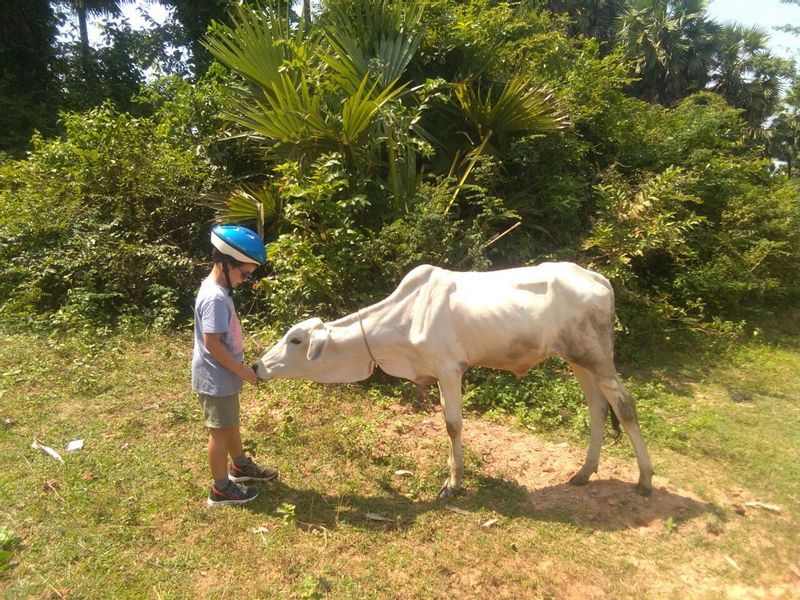 Siem Reap Private Tour - Siem Reap Countryside Tour 