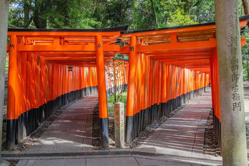 Kyoto Private Tour - Fushimi Inari Shrine (伏見稲荷大社, Fushimi Inari Taisha) is an important Shinto shrine in southern Kyoto. It is famous for its thousands of vermilion torii gates, which straddle a network of trails behind its main buildings. The trails lead into the wooded forest of the sacred Mount Inari, which stands at 233 meters and belongs to the shrine grounds.

Fushimi Inari is the most important of several thousands of shrines dedicated to Inari, the Shinto god of rice. Foxes are thought to be Inari's messengers, resulting in many fox statues across the shrine grounds. Fushimi Inari Shrine has ancient origins, predating the capital's move to Kyoto in 794.