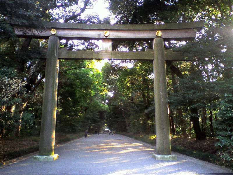 Tokyo Private Tour - T1. Meiji-Jingu Shrine (Torii Gate at the entrance)
