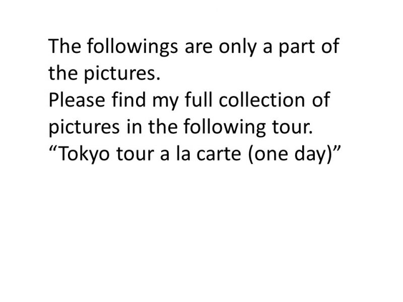 Tokyo Private Tour - https://triplelights.com/japan/tour/tokyo-by-yuki-651