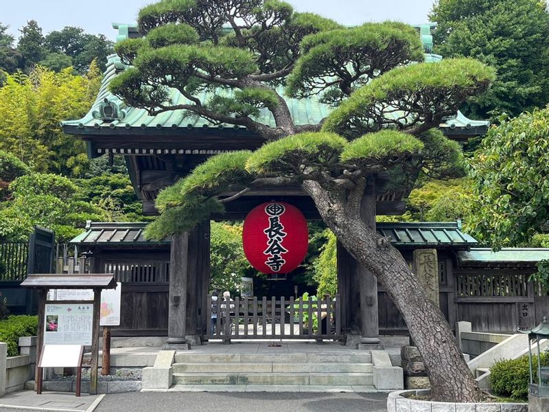 Tokyo Private Tour - Hase temple