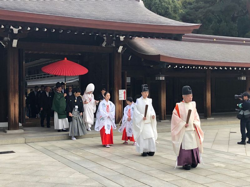 Tokyo Private Tour - Meiji Jingu Shrine.
You may encounter the wedding parade at the shrine square.