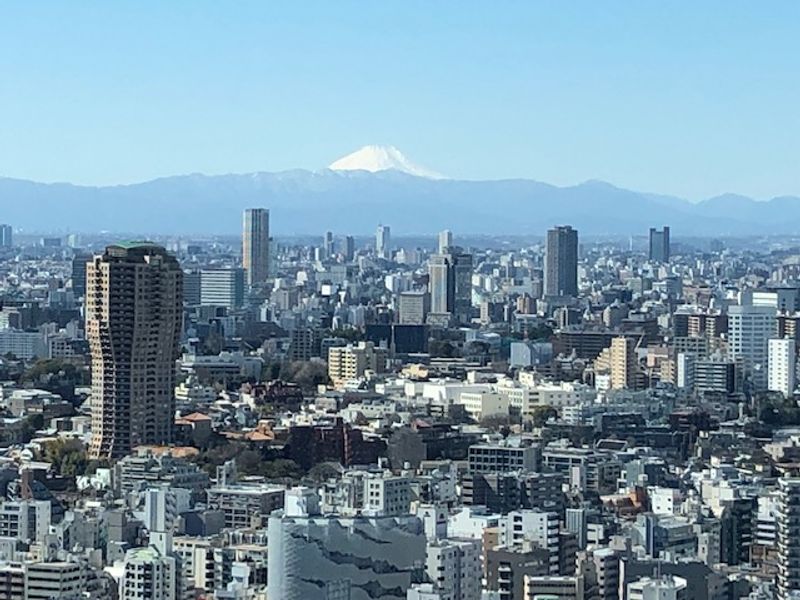 Tokyo Private Tour - The view from Tokyo Tower.
When it is clear, you can see Mt. Fuji in the far distance from Tokyo Tower. 