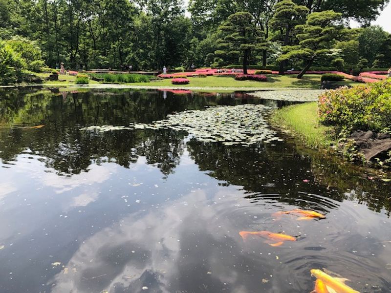 Tokyo Private Tour - East Gardens of Imperial Palace.
Magnificent Japanese landscape garden with big golden fish in the pond.  