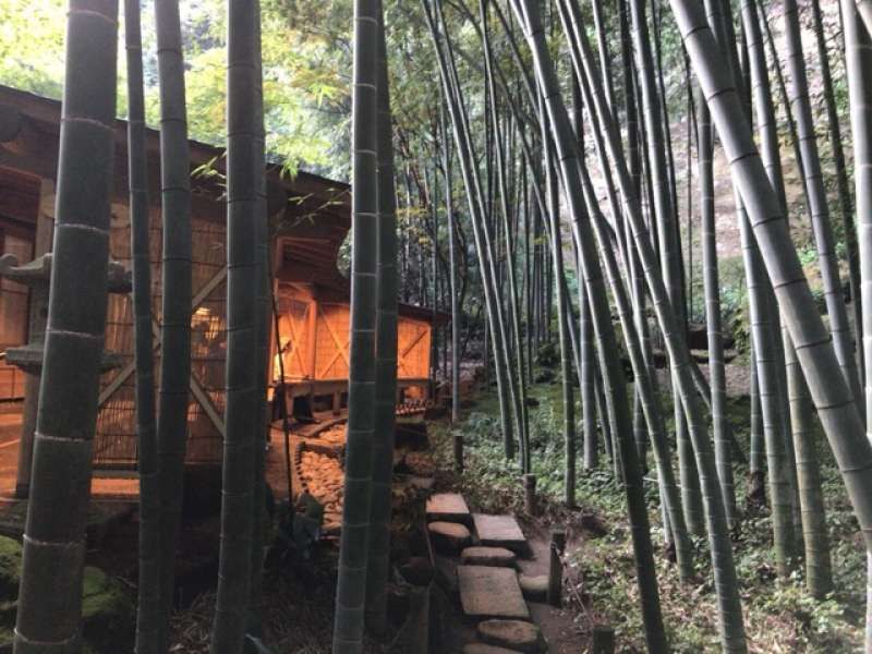 Kamakura Private Tour - The Bamboo garden at Hokokuji Temple in Eastern Kamakura Area