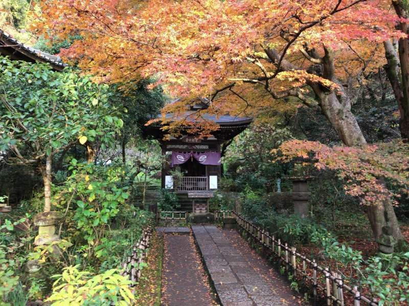 Kamakura Private Tour - Obaiin, a sub-temple stands at the depths of Engakuji Temple's precincts, in Kita-Kamakura, Northern Kamakura Area