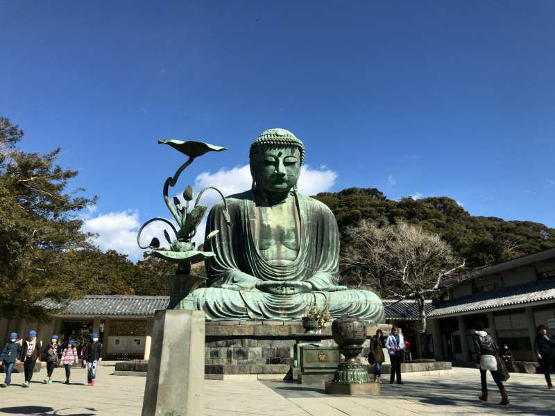 Kamakura Private Tour - Daibutsu, a great statue of Buddha in Southwestern Kamakura Area