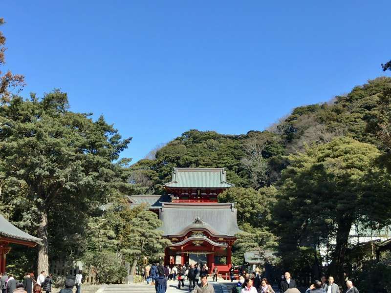 Kamakura Private Tour - Tsurugaoka Hachimangu Shrine, located in the center of Kamakura, in Central Kamakura Area