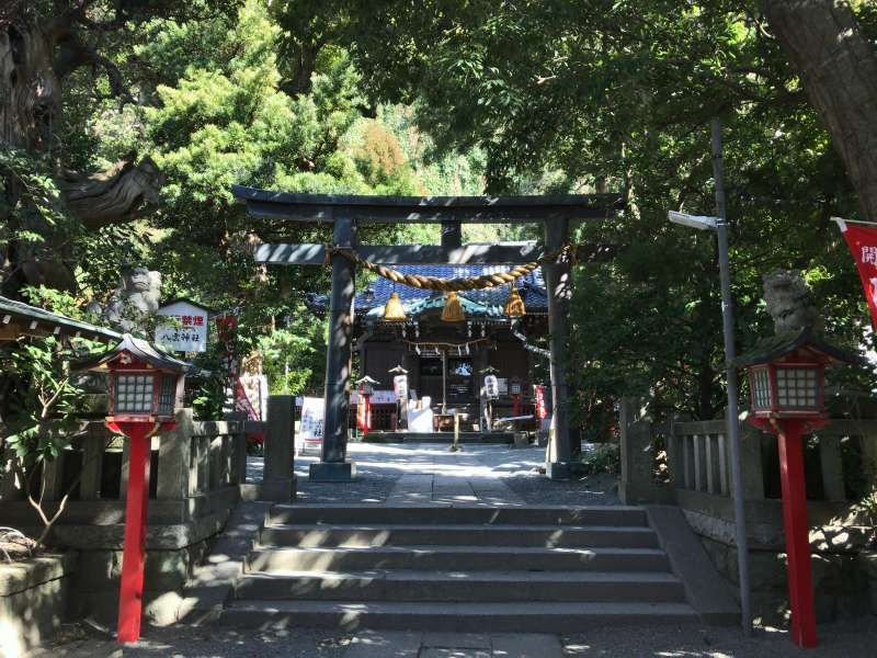 Kamakura Private Tour - Yakumo shrine, a hidden power spot on a back street in Southeastern Kamakura Area